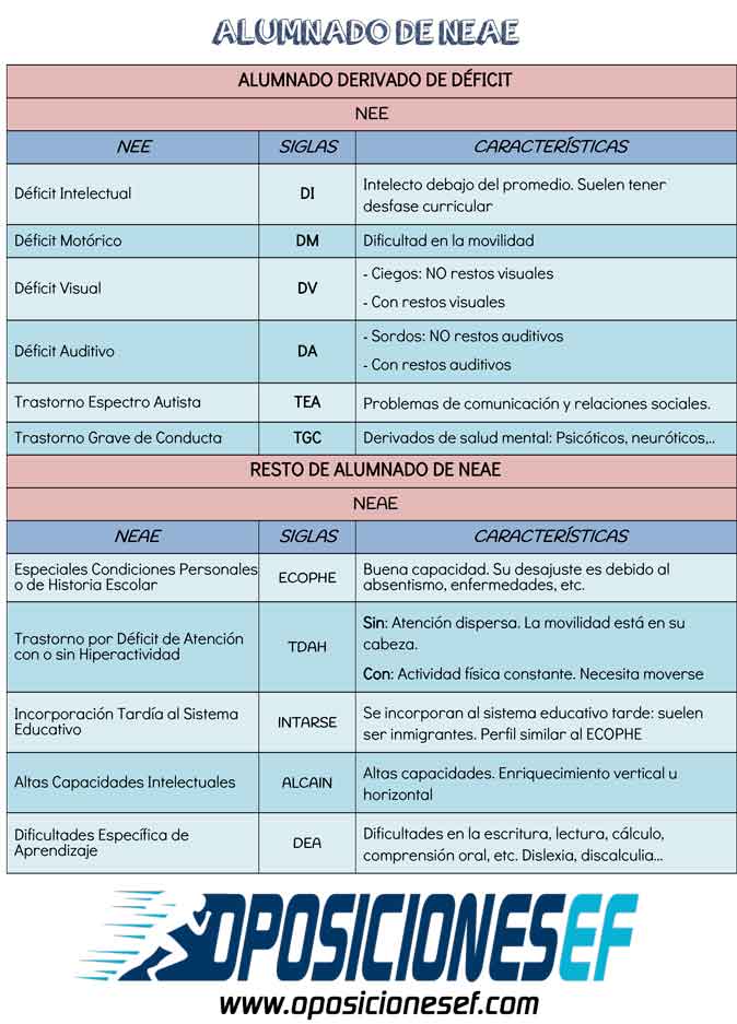Atención a la Diversidad en la Programación de Educación Física